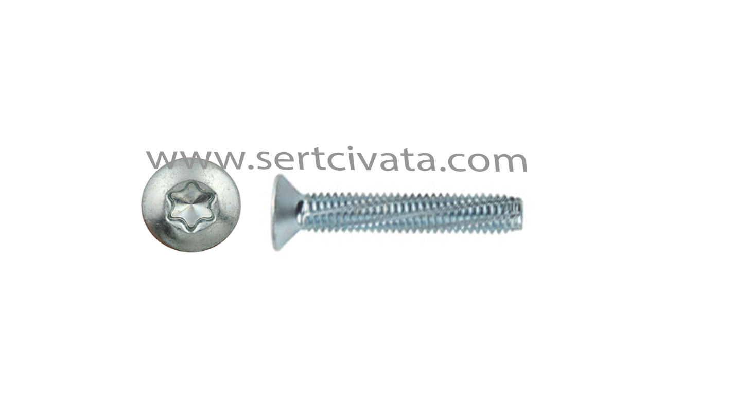 DIN-7516-FORM-D-TX-torks-havsa-basli-klavuzlu-vida-taptite-torx-imalat